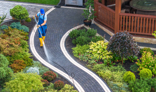 Best Roof Power Washing Services  in Grain Valley, MO